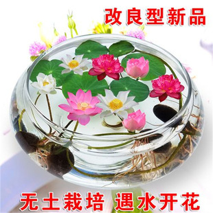 �ļ��_��ˮ��ֲ��˯ɏ�ɻ��N����ˮ��ˮ�B���������҃Ȼ����B��ɏ