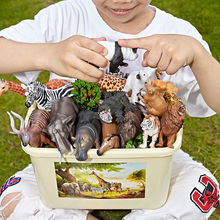 动物大熊猫模型儿童玩具狮子野生老虎森林认知玩偶一件代发