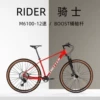 Red mountain bike carbon fibre
