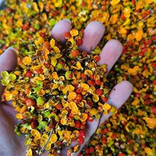 ����ϼt��ʯ���t��ʯ��ɫ�Ϛg��������������