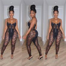 B9426 2023��ŷ��ʱ���Ըв�������������ɴƴ�ӵ��������