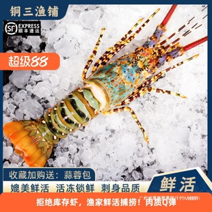 ���޴����r�ش�3-8������r���ك�С����������ˮ�r�����rˮ�a