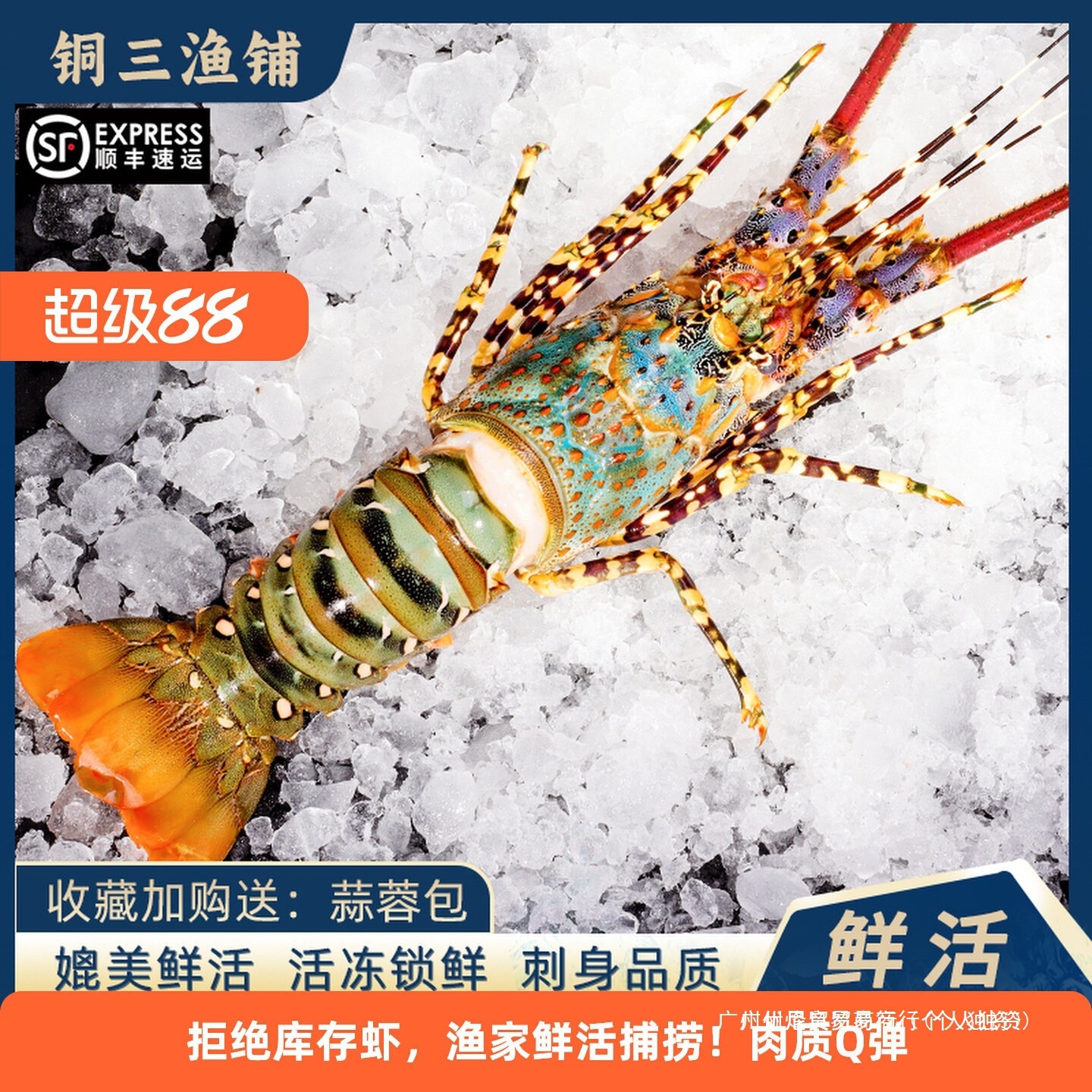澳洲大龙虾特大3-8斤大花龙鲜活速冻小青龙波龙深水虾海捕鲜水产