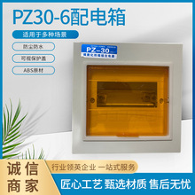 PZ30-6明暗装回路箱家用强电箱 家用照明配电箱开关箱明暗装