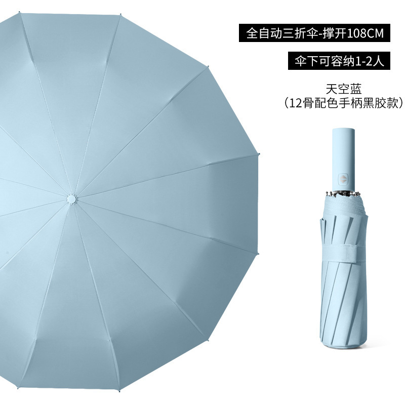 12 Refuerzo óseo - Azul claro