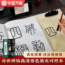 �Fɽ��׭����������˹�A���f��ë�P����ԭɫ�Ŵ��ձ���������