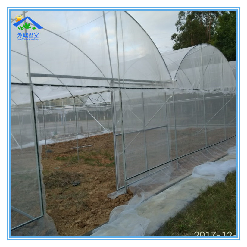 清远简易连栋防虫网大棚 种植蔬菜水果育苗温室大棚 实景案例热销