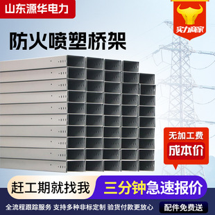 Manufacturer Customized Fireproof Bridge Spray 200*100 Groove Type Trunking Galvanized Pallet Type Large Span Cable Bridge