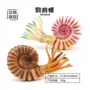 仿真实心手办海底模型