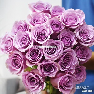 Direct Shipment from Yunnan Kunming Flower Base: Roses, Lilies Bouquets, Fresh-Cut Sunflower Flowers for Home Use, Direct Wholesale for Hydroponic Cultivation