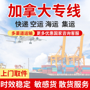 ���H�������ô���f�����\DDP�p��������T������Ҿ�؛���\ݔ