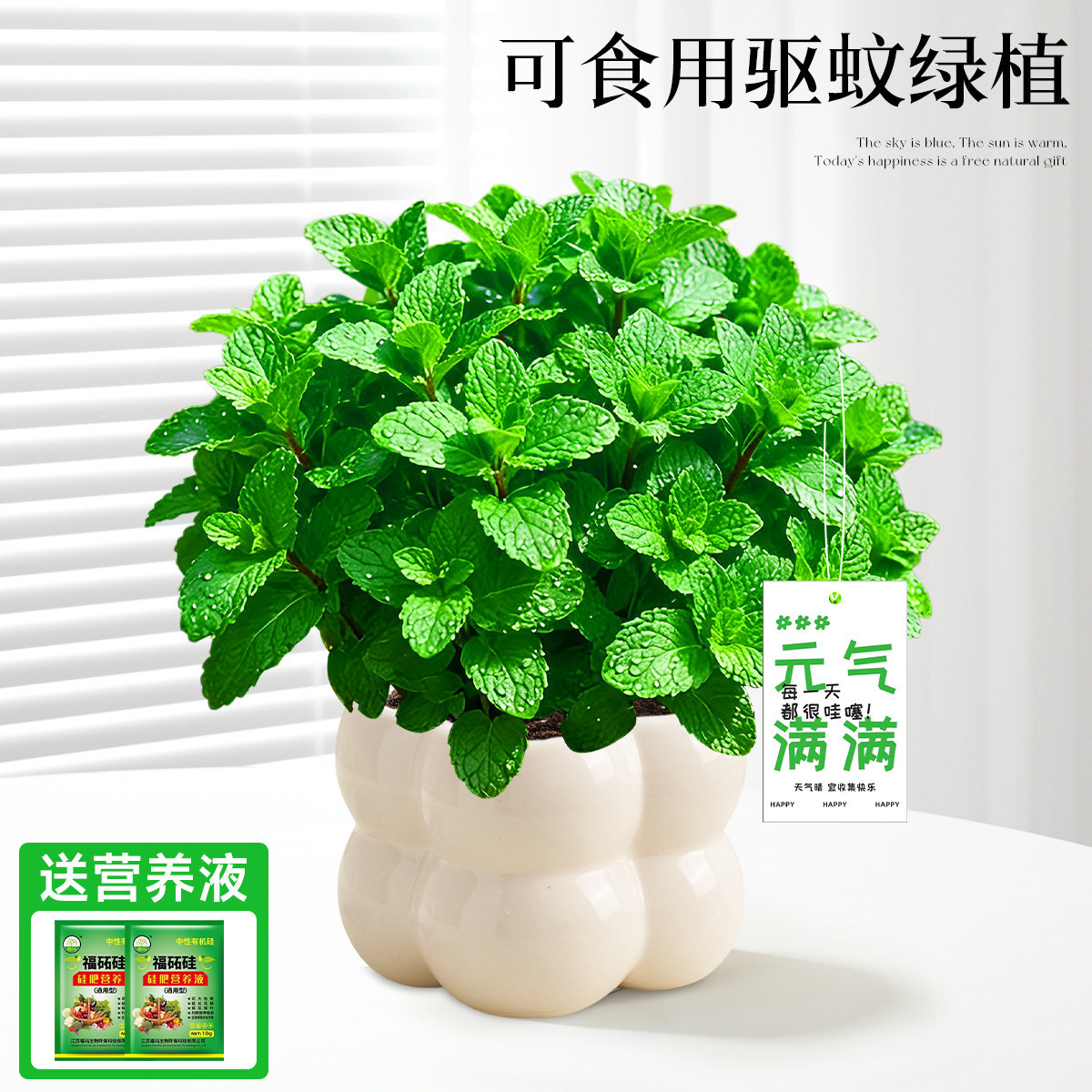 With simple planting pot