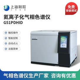 荆和 氦离子化气相色谱仪PDHID检测器大宗气体分析仪生产厂家