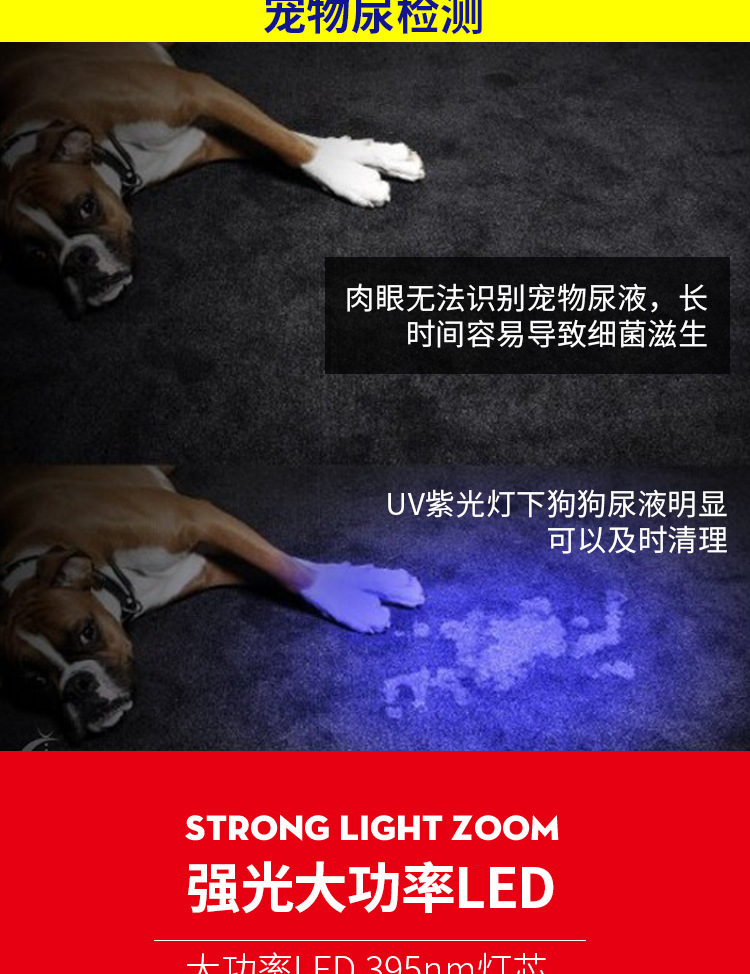 Cat Moss Uv Flashlight Rechargeable Ultraviolet Lamp for Money Detection and Identification Uv Curing Lamp Fluorescent Agent Detection Pen