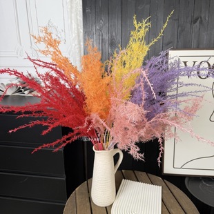 ���������柟���JȔ������ë������ꐂ��diy�Ƶ���ÿ羳���l