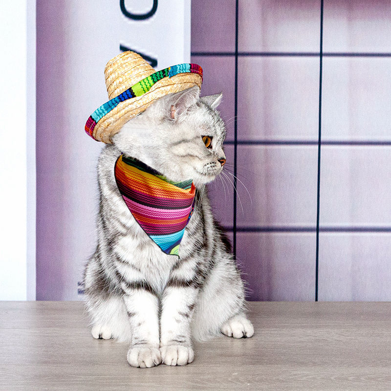 Joyería para mascotas popular mascota gato perro Sombrero estilo mexicano mascota gato perro saliva toalla