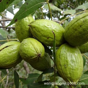 �޽����º������Ե����ϱ����Nֲ��Ƥ�������ͺ��߮a�׻��Y��