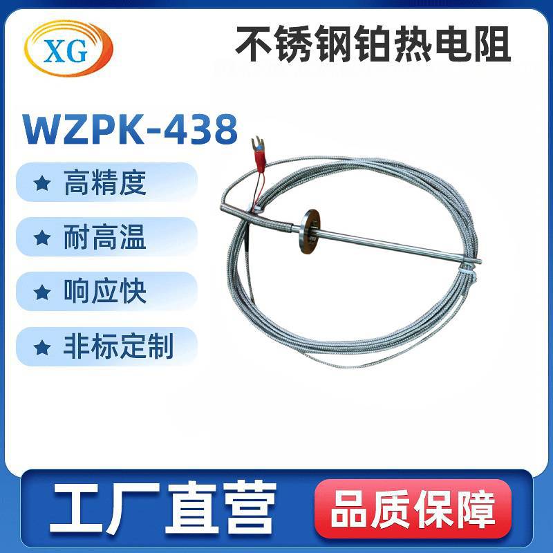 厂家供应 铠装热电阻 WZPK-438铠装热电阻