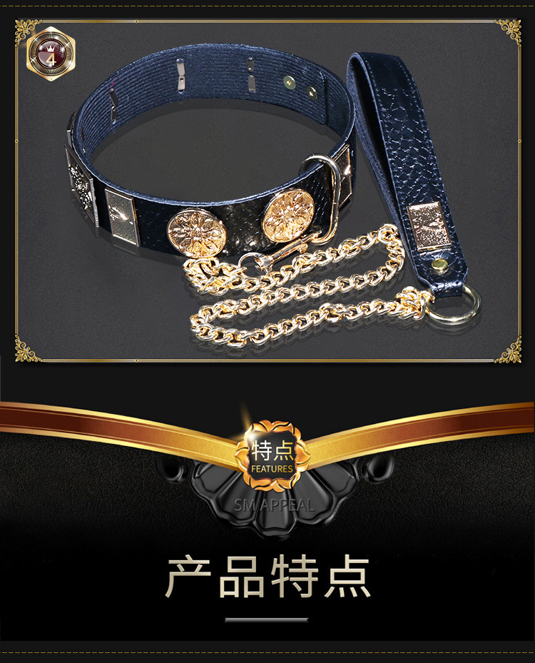 Jiuai SM Flying Fish Collar and Chain Set with Metal and Leather Bondage Accessories — detail image 6