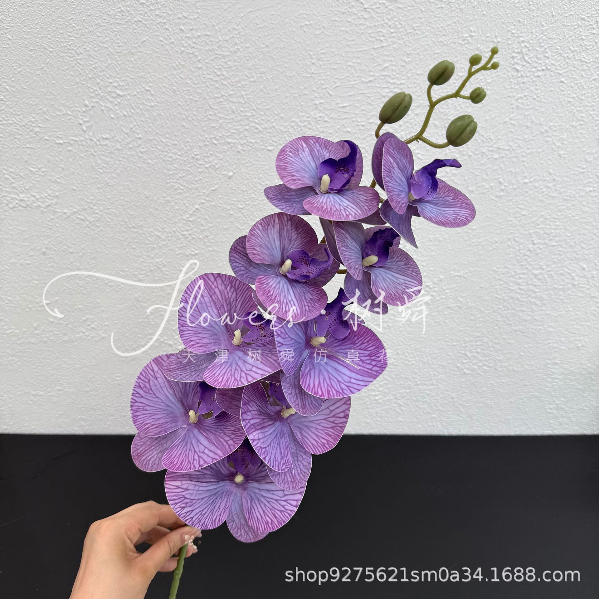 보라색