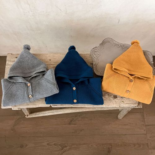 Ins Korean Version Children's Sweater for Boys and Girls, Baby, Pure Cotton Hooded Jacket for Infants and Toddlers, Autumn and Winter Pure Cotton Sweater