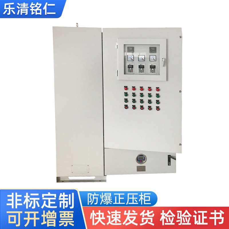 通风型防正压柜PLC变频控制柜防爆机柜不锈钢防爆配电柜防雨机柜
