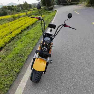 Motorcycle, Elektrikli motosikletlər