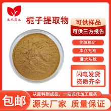 栀子提取物 比例提取 水溶性栀子粉 栀子苷 (甙) 京尼平 源头厂家