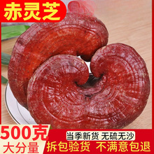 LɽƷ`֥Ұ؛֦`֥֥ݾƲҜÿƬ