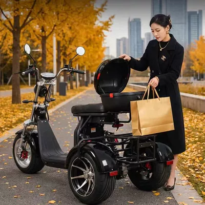 Elektrikli skuterlər — Harley Electric Tricycle with Wide