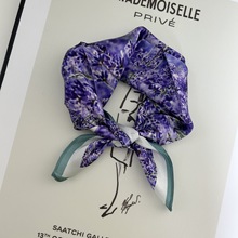 ͋zz¿2023ߙnСٴ100%ɣQzСI