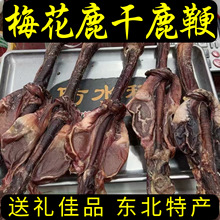 梅花鹿干鹿鞭整支只枝一根特大纯正品礼盒装男性用滋补泡酒长白山