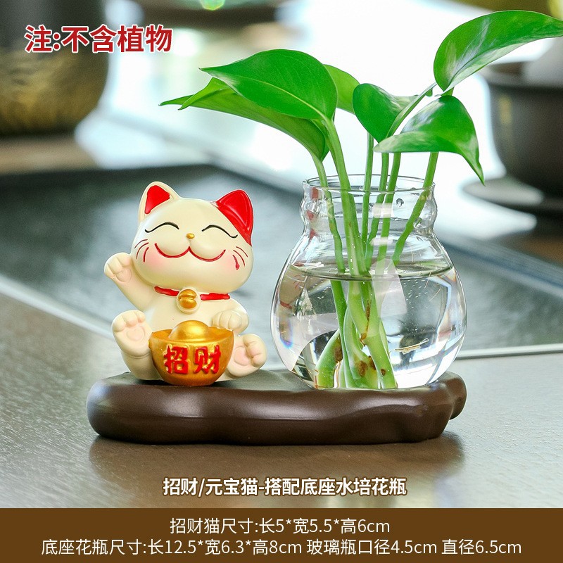 【부를 모으다】원보 고양이 + 수경재배/녹색식물 미포함