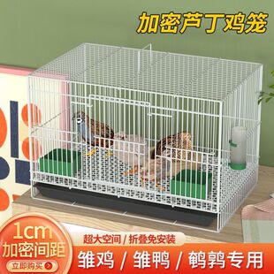 �J���u�\С�u�\�r�u���û\�Ӽ������\���܌���\�g���\���l