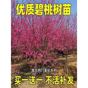 ͥԺ�^�p�һ��t�~���Ҙ������~�����繤�̾G�������~�҄e���L����