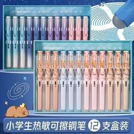 钢笔;墨水;其他笔类