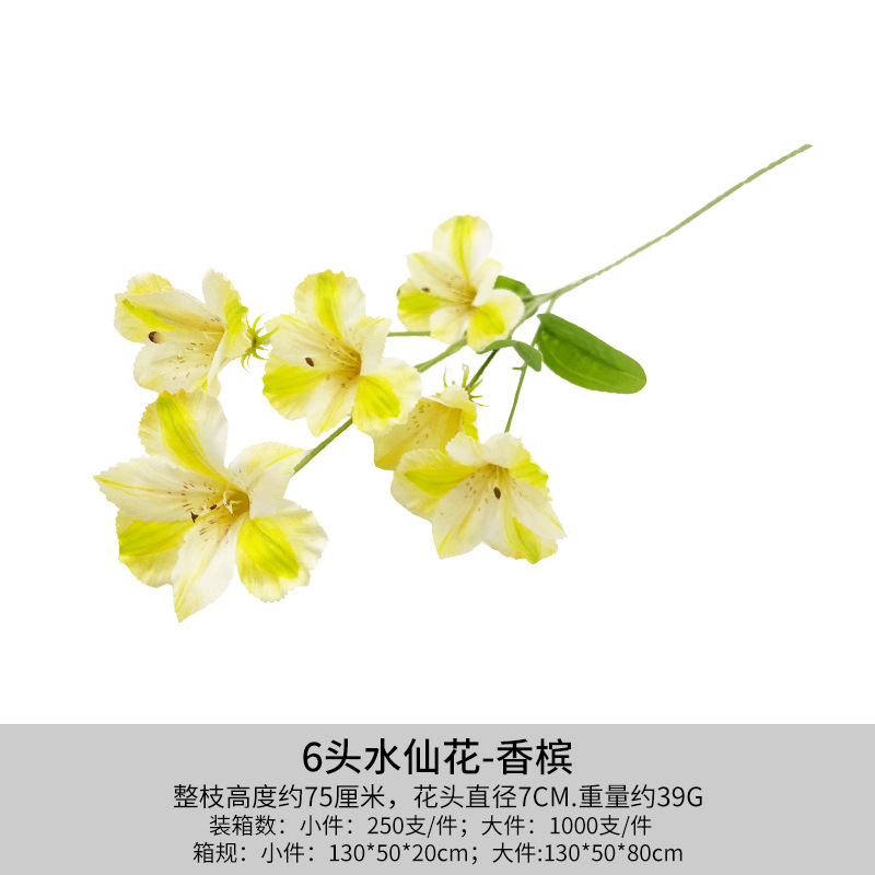 샴페인