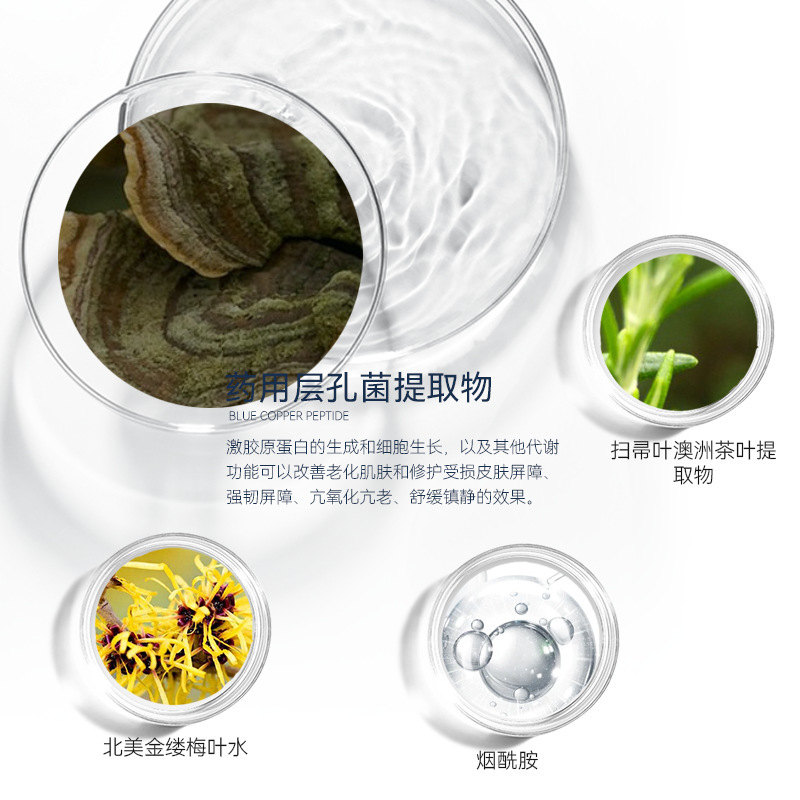 10% 層の孔菌の毛穴の精華液は毛穴の粗大な油を改善します。|undefined