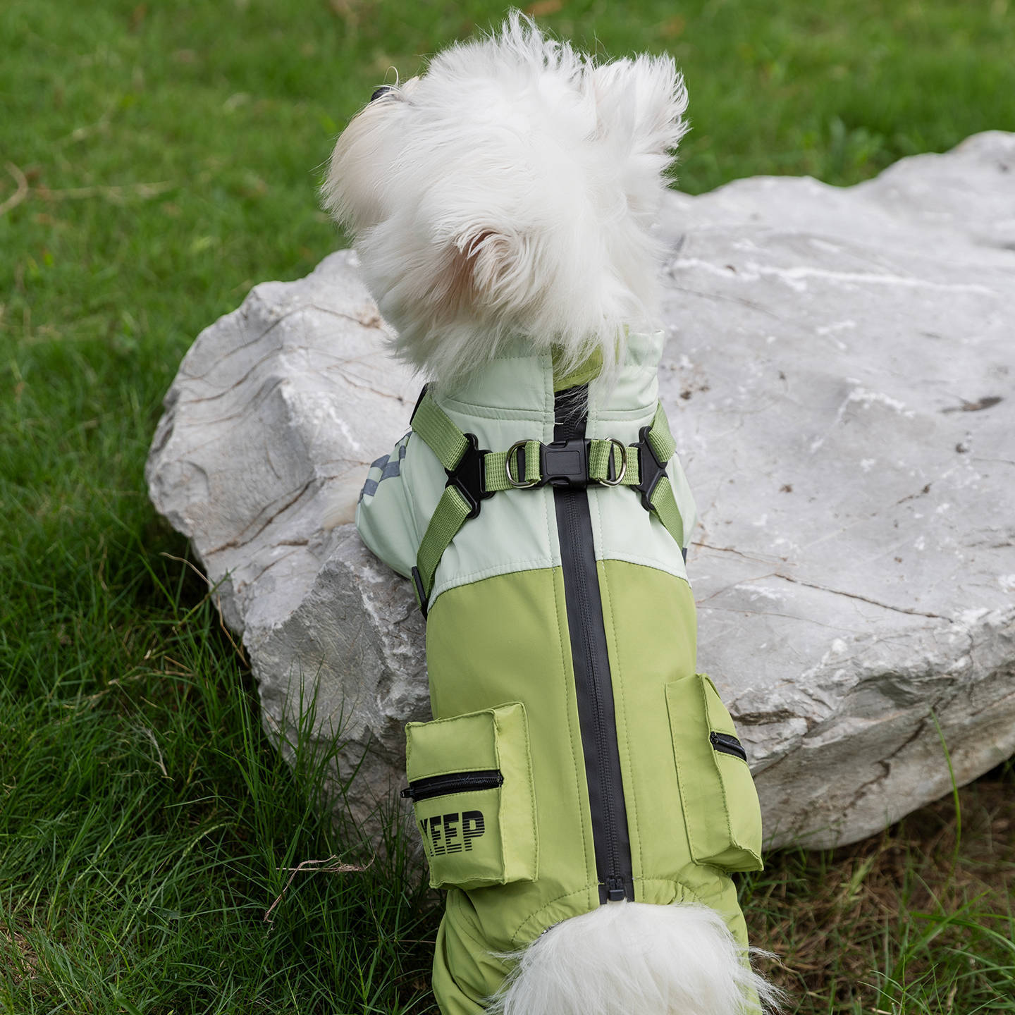 Ropa de mascotas de otoño y invierno caliente tres anti-carga de algodón de cuatro patas perros pequeños y medianos Teddy Bear mascotas ropa de perro