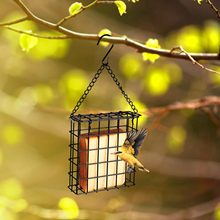 �羳����Ғ�ʽ����朗lι�B���F�z�W���ˮ��ʳ����Bιʳ���S��