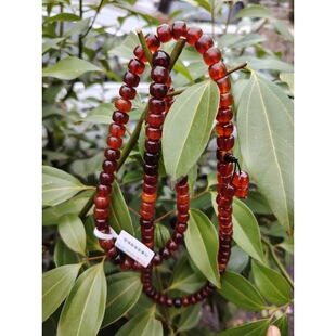 ��ʽ��ţ�ǝMѪ�t�������ִ�����ֳ�����ֱ�������鳯��108��