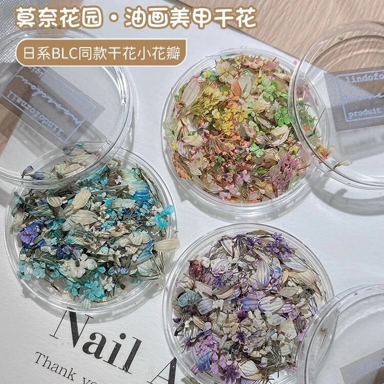 Japanese blc Monet Oil Painting Dried Petal Nail Art Ins New Style Small Flower Tulip DIY Nail Decoration