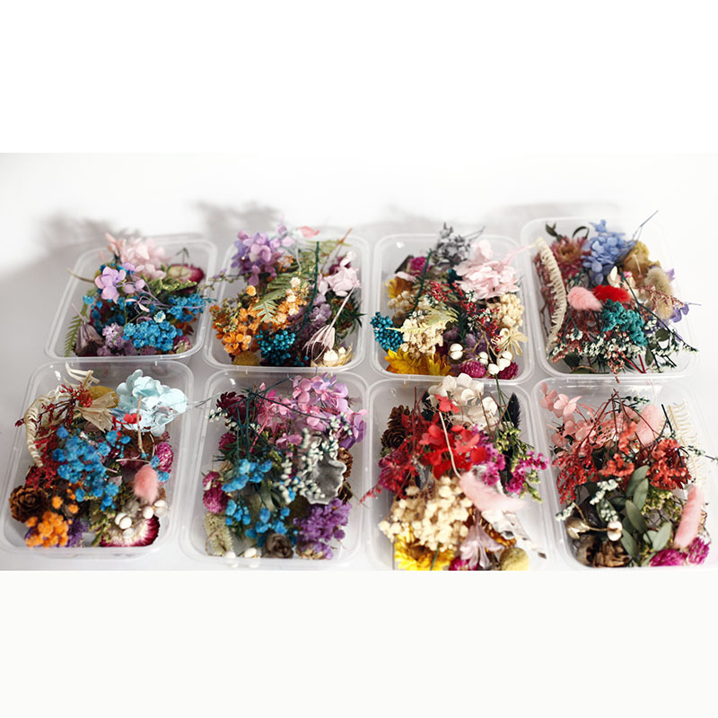 干花DIY材料 永生花diy花材 香薰蜡烛团扇干花相框 圣诞节DIY沙龙