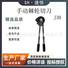 քX݆|QJ30Cеͼ݆еwʽ·LД