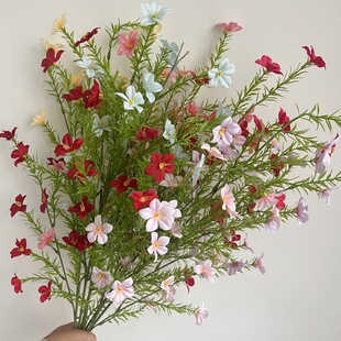 4��ɽҰ�� СҰ�����ǻ���c����Gֲ��ˇ�����쾰�b��L���c�Y��