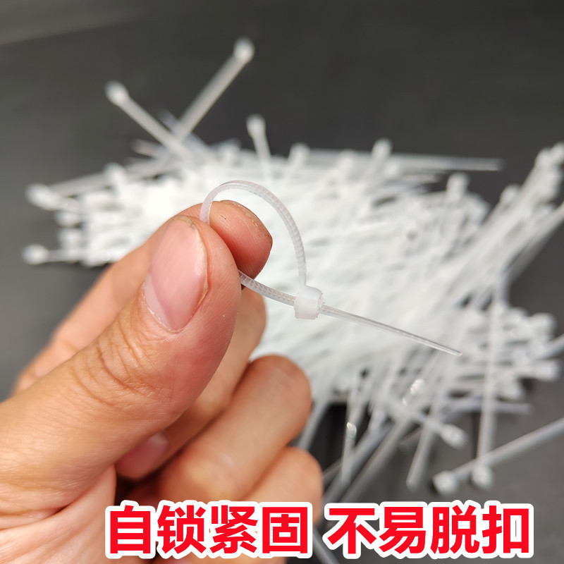 Mini pequeña atadura de cables plástica disponible de la atadura de cables de nylon de autoretención tamaño pequeño 3*60 80100m