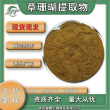 草珊瑚提取物水溶性珊瑚草粉精选厂家可选规格  现货包邮食品保健