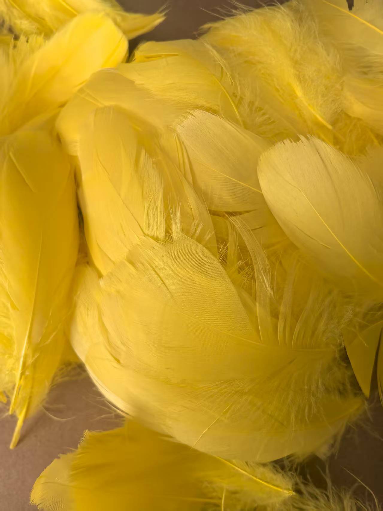 微信图片_20250923095214_144_54