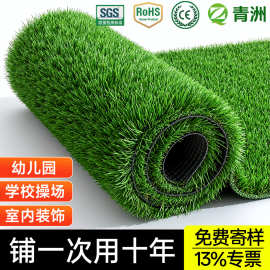 青洲Grass幼儿园仿真草坪草皮人工景观庭院休闲假草坪  仿真加密