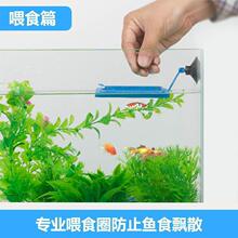 ���������̷��h�~�Z��λ��С���~Ͷʳ�h8cm�������Ȧ�S��ֱ�N